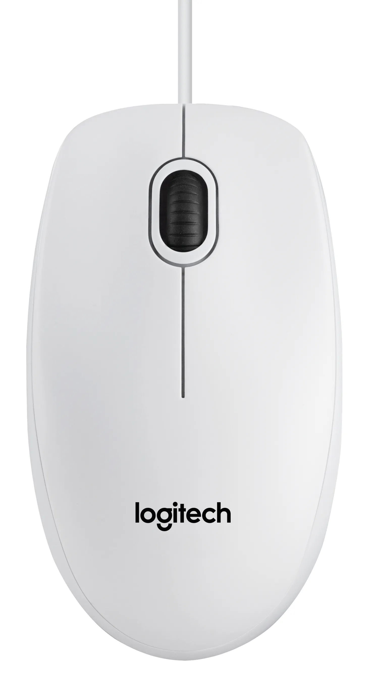 Logitech B100 Optical Usb f/ Bus mouse Ufficio Ambidestro USB tipo A Ottico 800 DPI