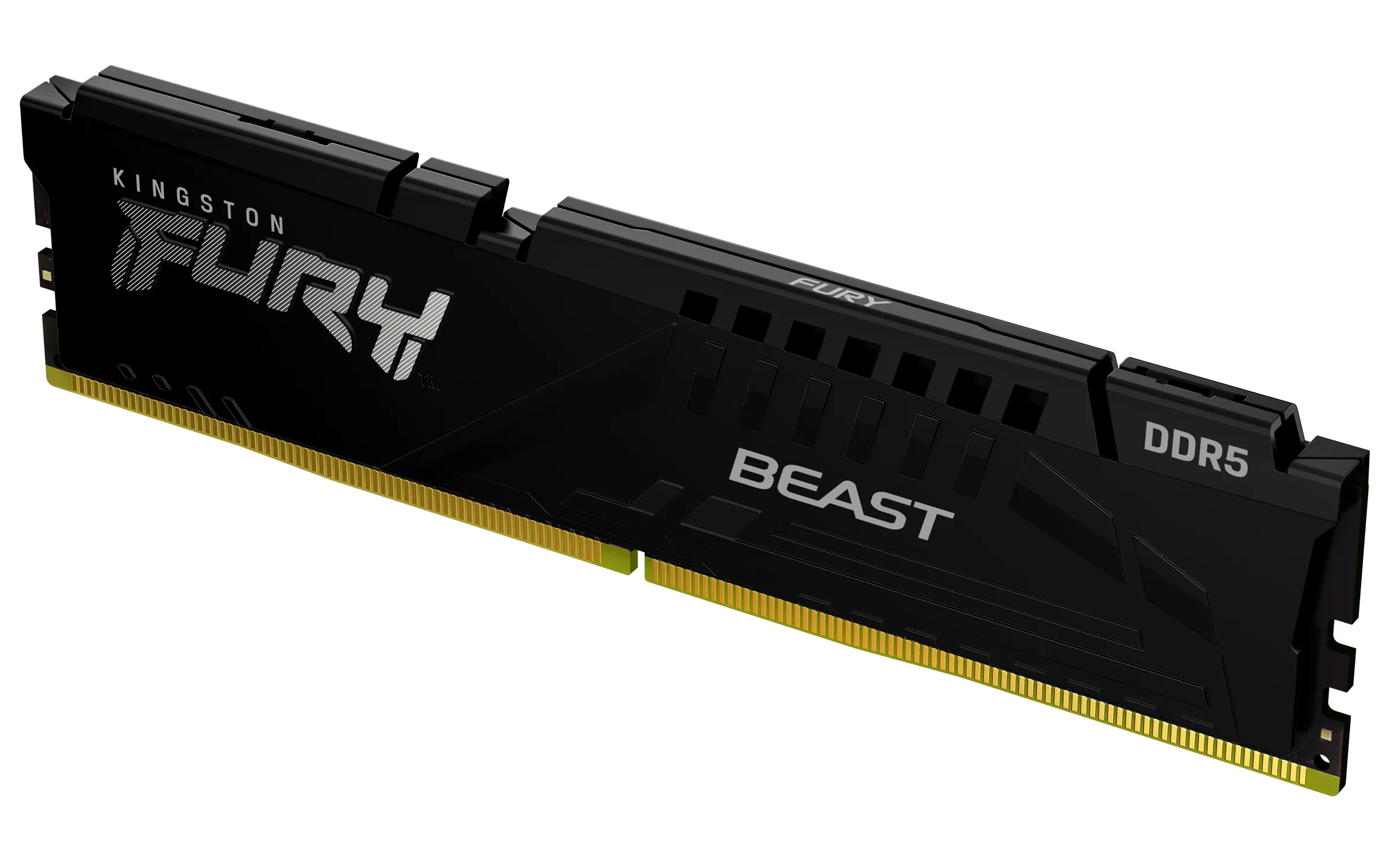 Kingston Technology FURY Beast 32 GB 6000 MT/s DDR5 CL36 DIMM Black EXPO